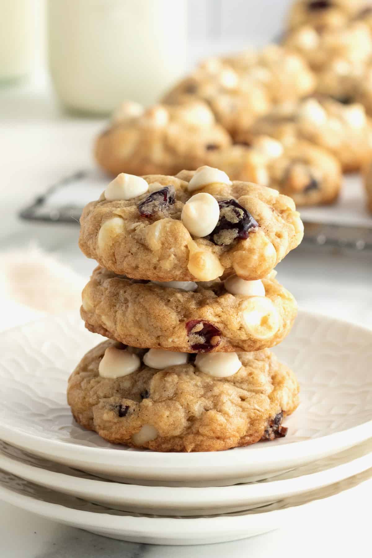 Cranberry White Chocolate Oatmeal Cookies