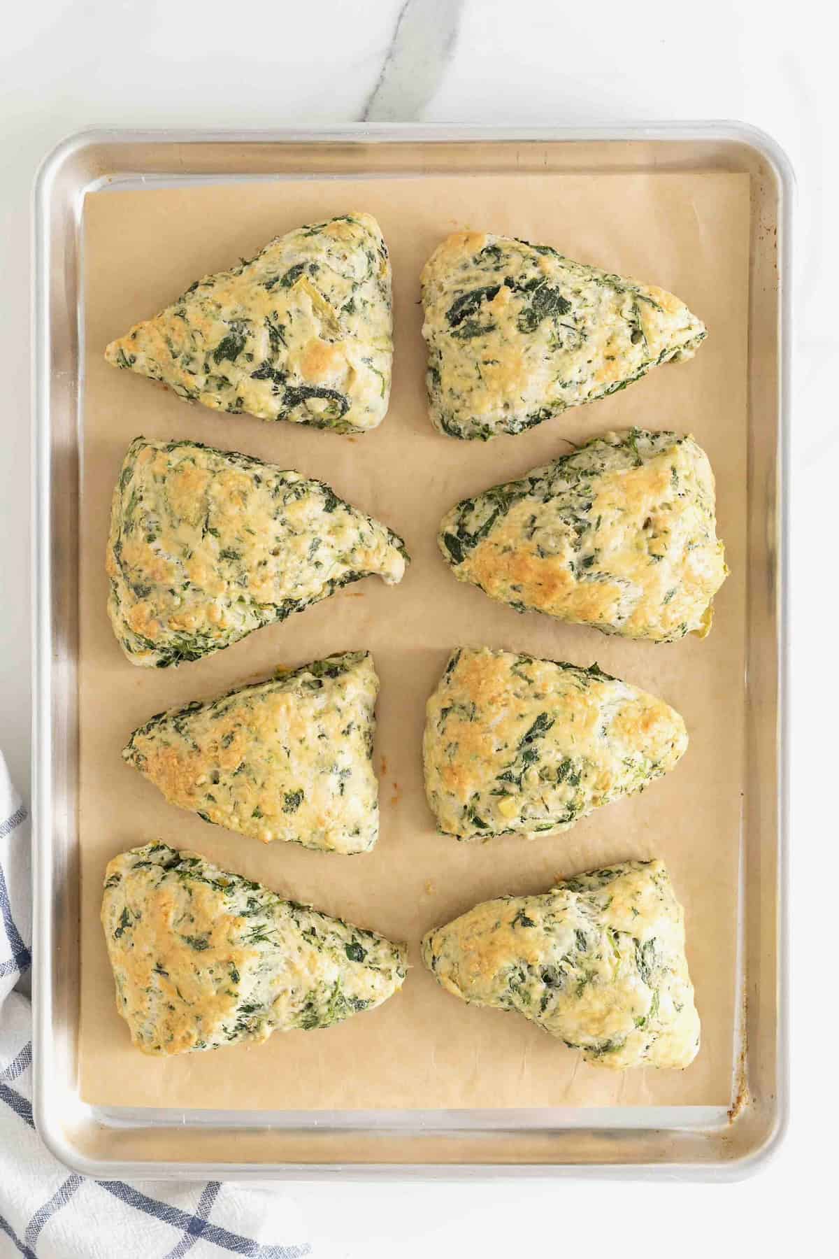 Eight scones on a parchment lined aluminum baking sheet.