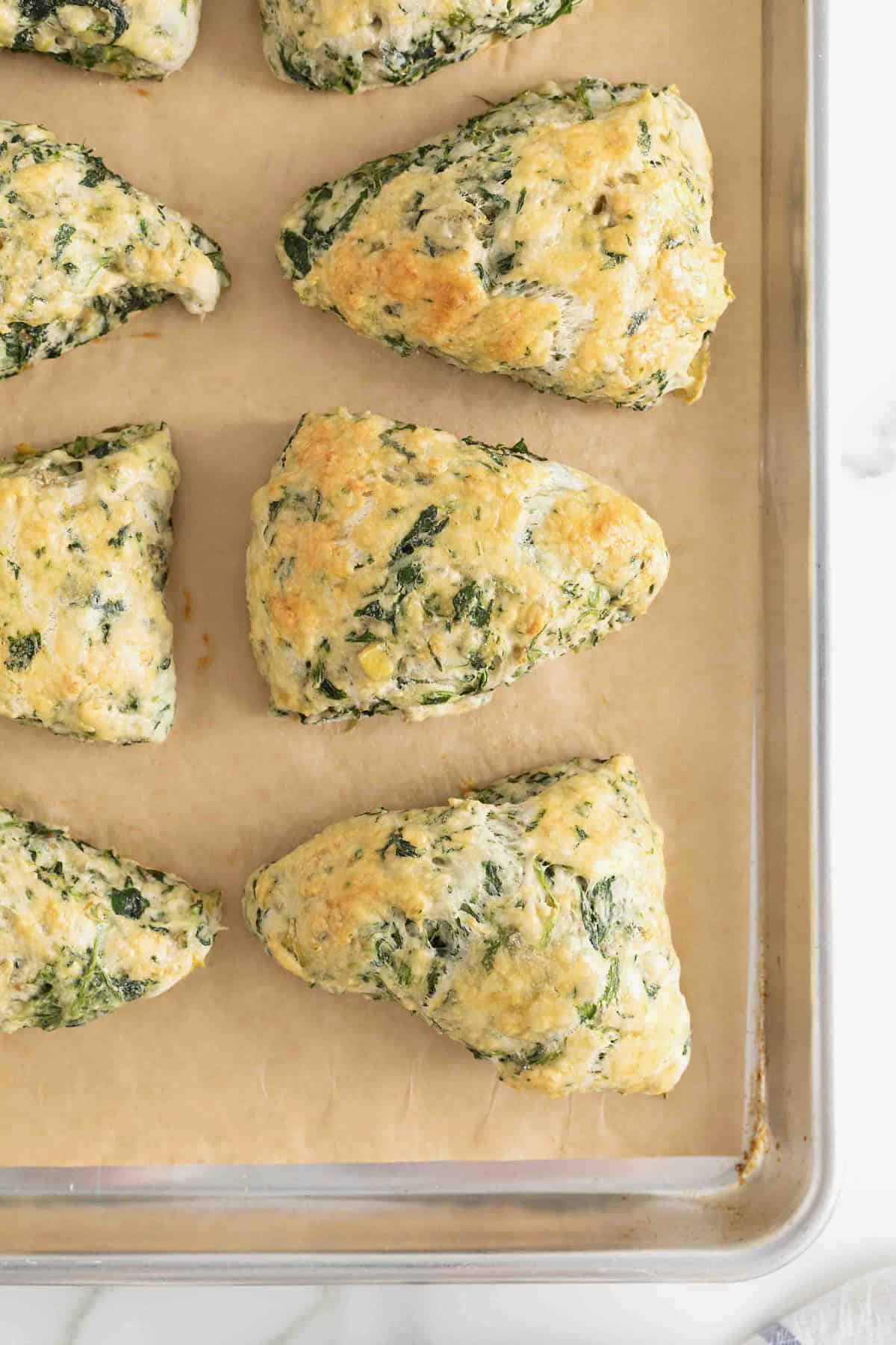 Six spinach artichoke scones on a parchment lined aluminum baking sheet.