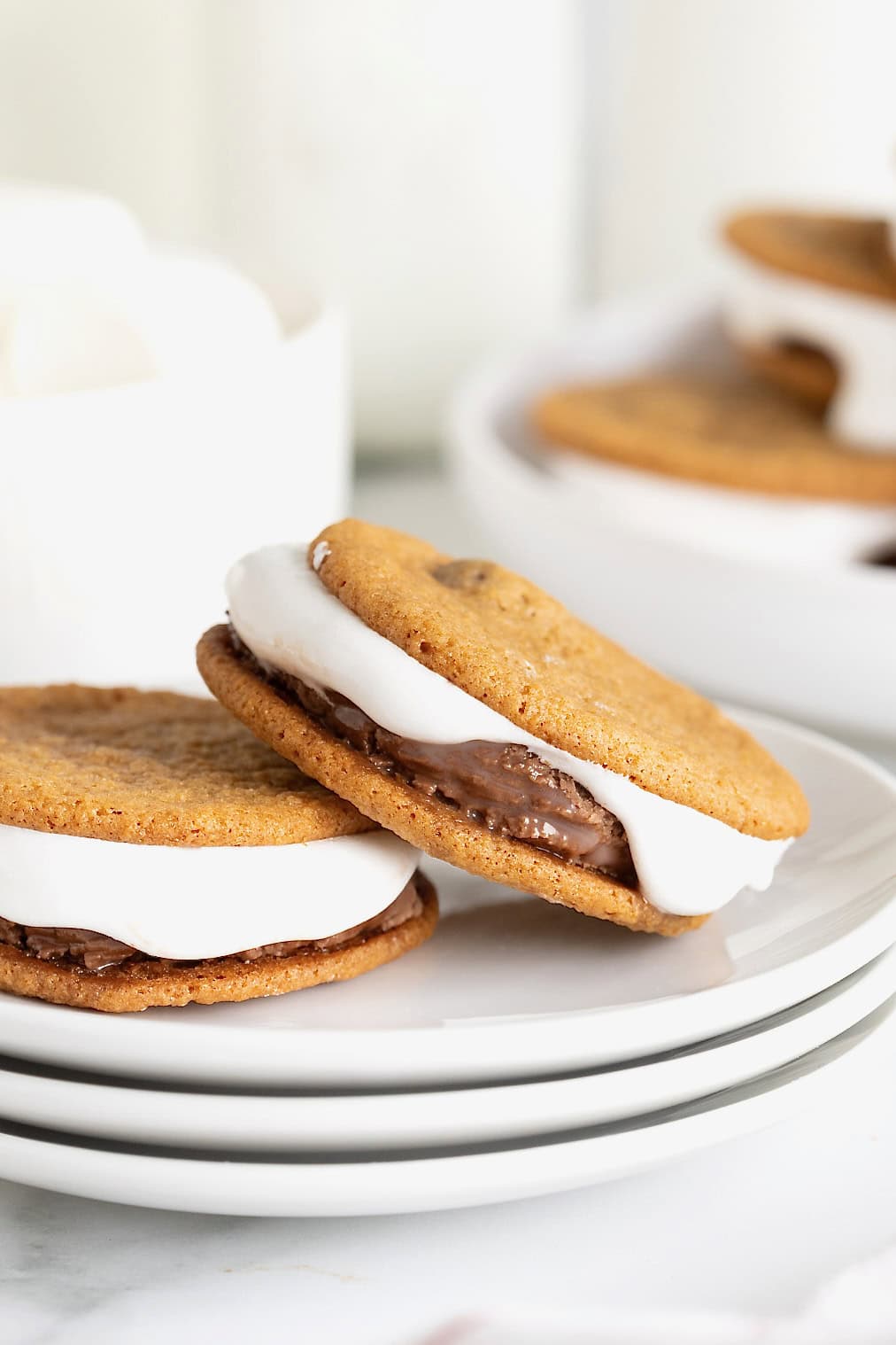 Two s'mores ice cream sandwiches on a small white plate.