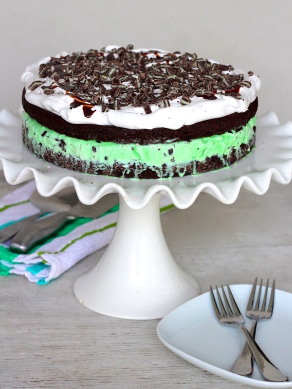 Mint Chocolate Chip Ice Cream Cake