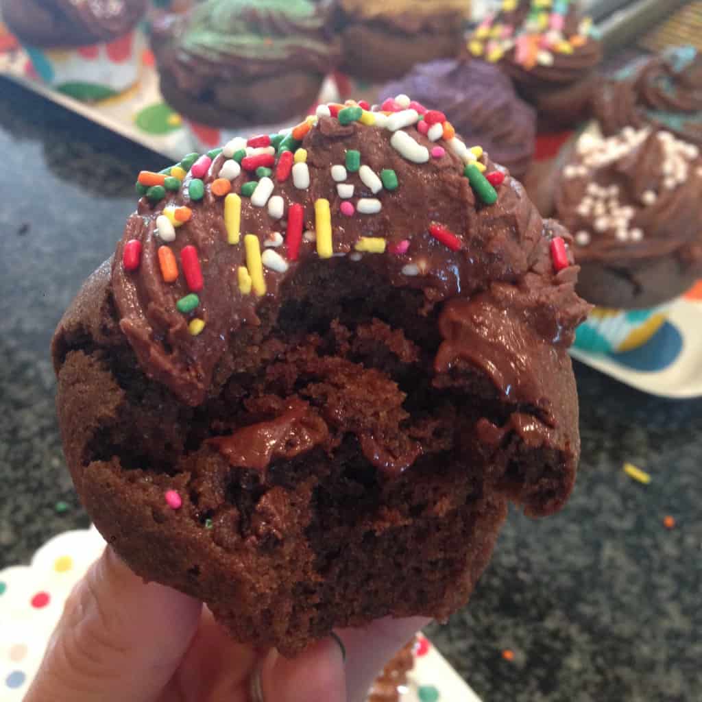 Gluten-Free Chocolate Cupcakes with Fudge Frosting