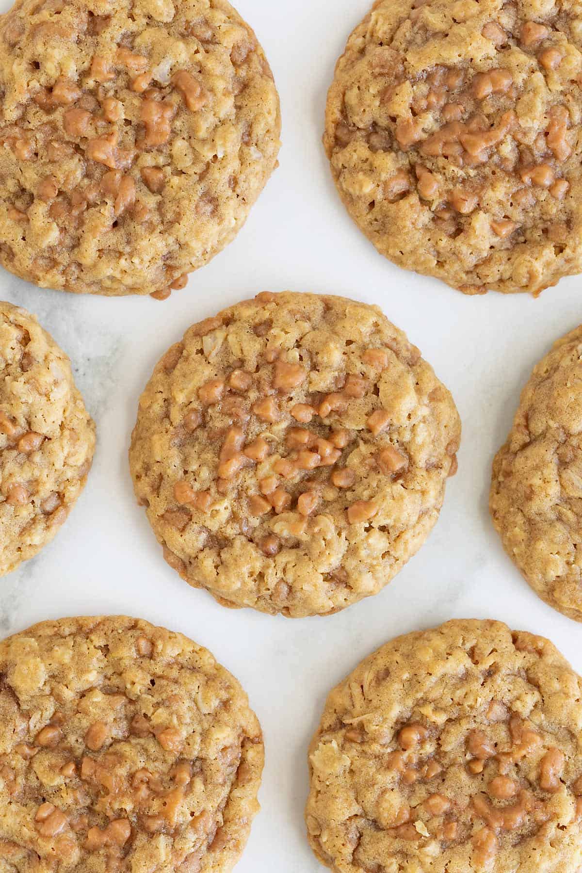 Seven oatmeal toffee chip cookies on a piece of parchment.
