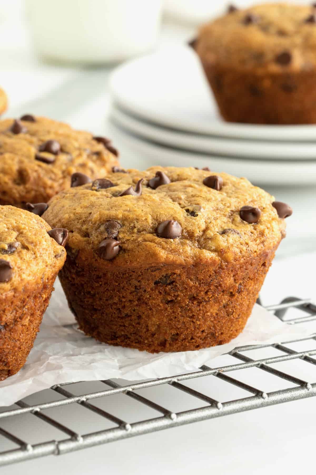 Mini Banana Chocolate Chip Muffins - The BakerMama