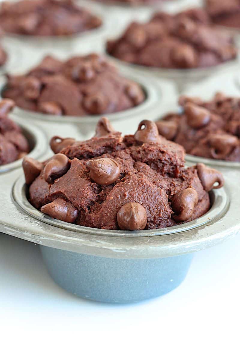 Healthier Chocolate Chocolate Chip Muffins - made with whole wheat flour, greek yogurt, no butter or oil, and sweetened with all-natural flavored cane syrup.