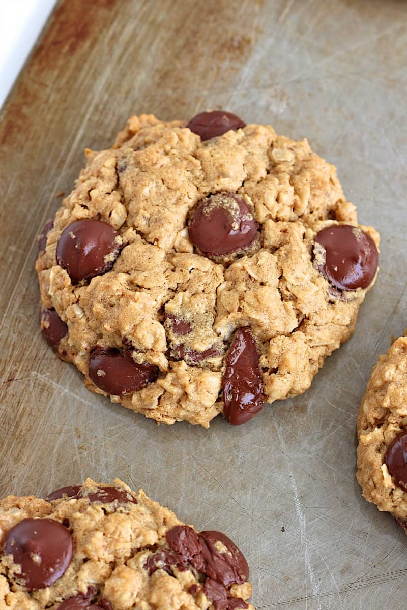 Flourless Oatmeal Chocolate Chip Cookies - you'd never believe these chewy oatmeal chocolate chip cookies are baked with no flour. Yummy yum!