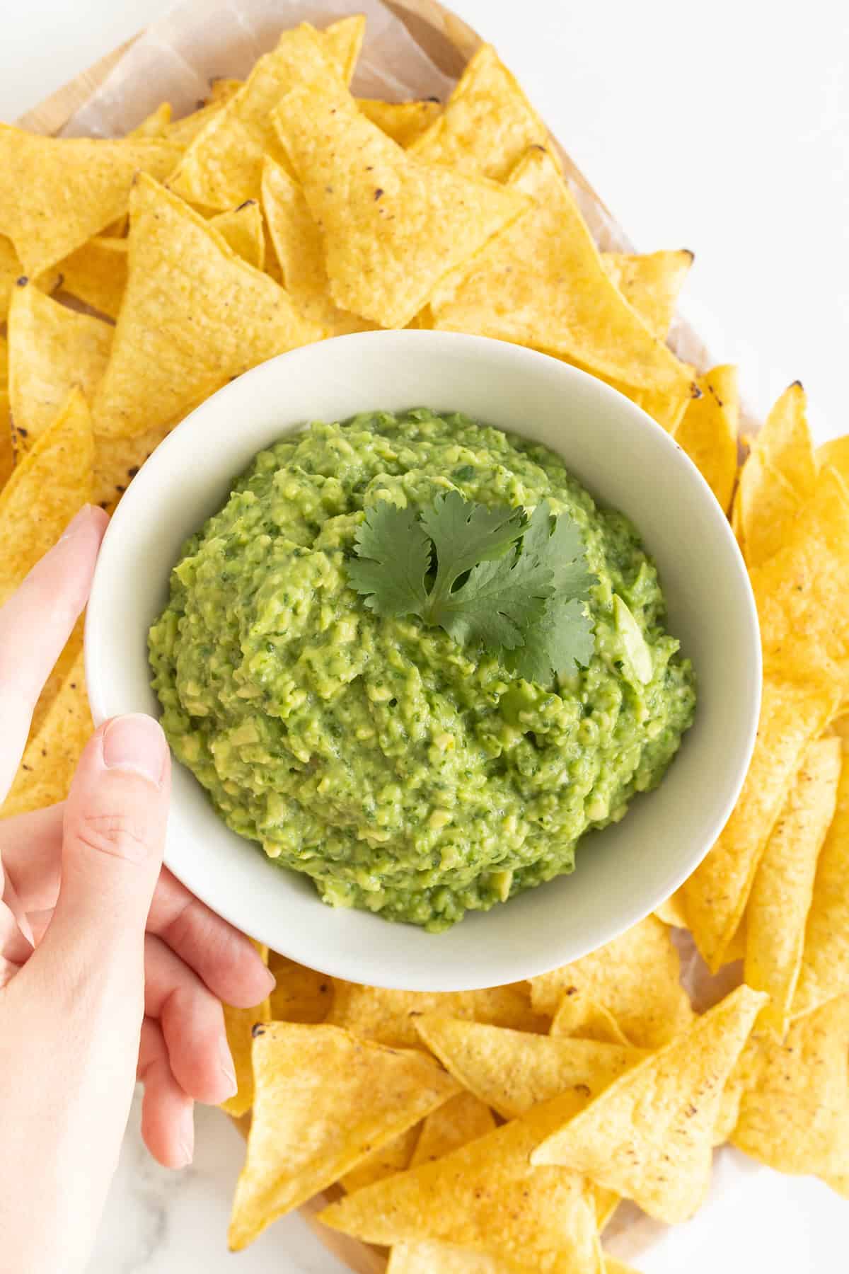 A white bowl of guacamole surrounded by tortilla chips. A few leaves of cilantro garnish the guacamole.