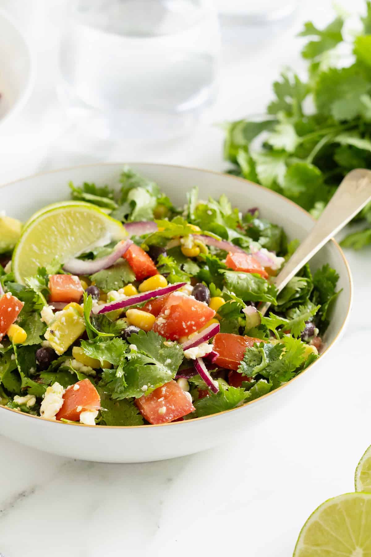 A large white serving bowl of cilantro avocado salad with chopped tomatoes and sliced red onion. There is a wedge of lime on top of the salad.