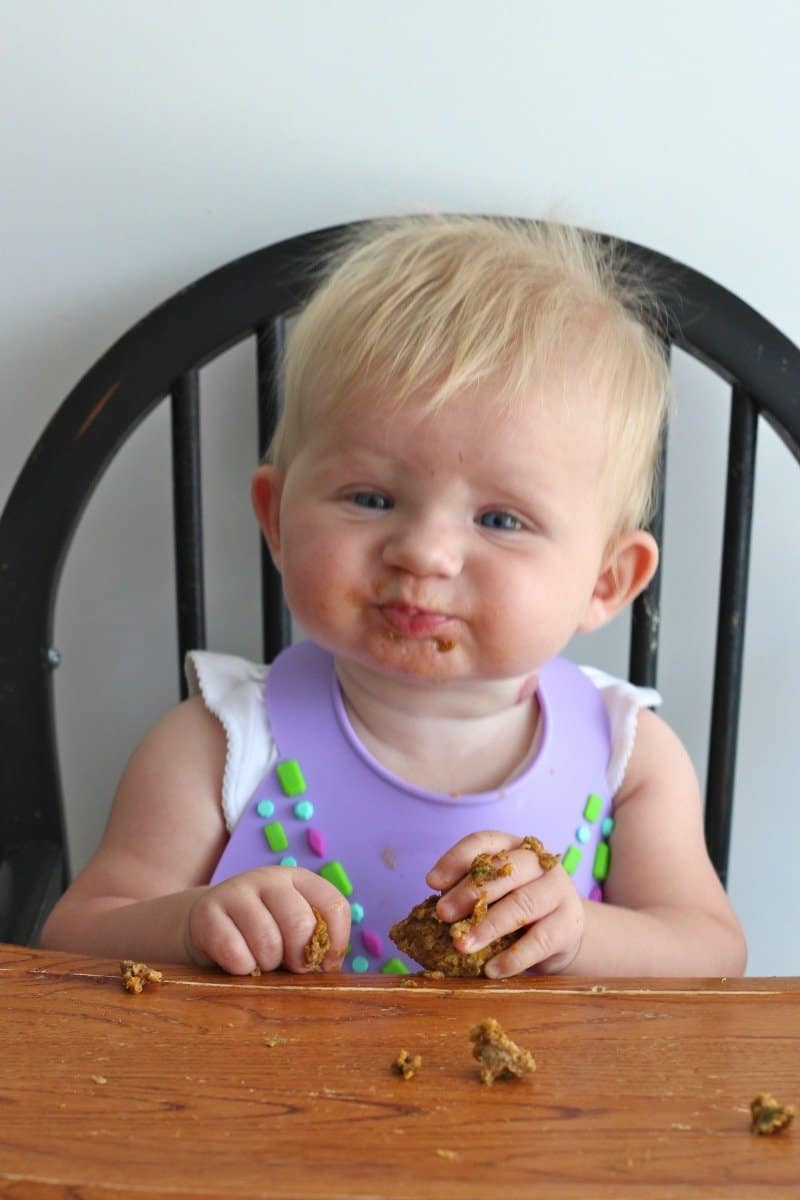 Baby Food Oatmeal Bites