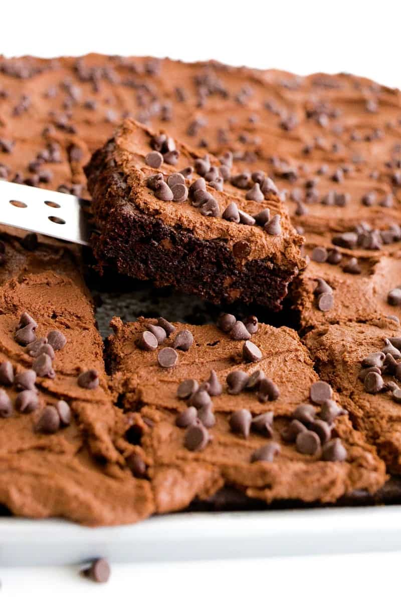 Chocolate Chocolate Chip Sheet Cake