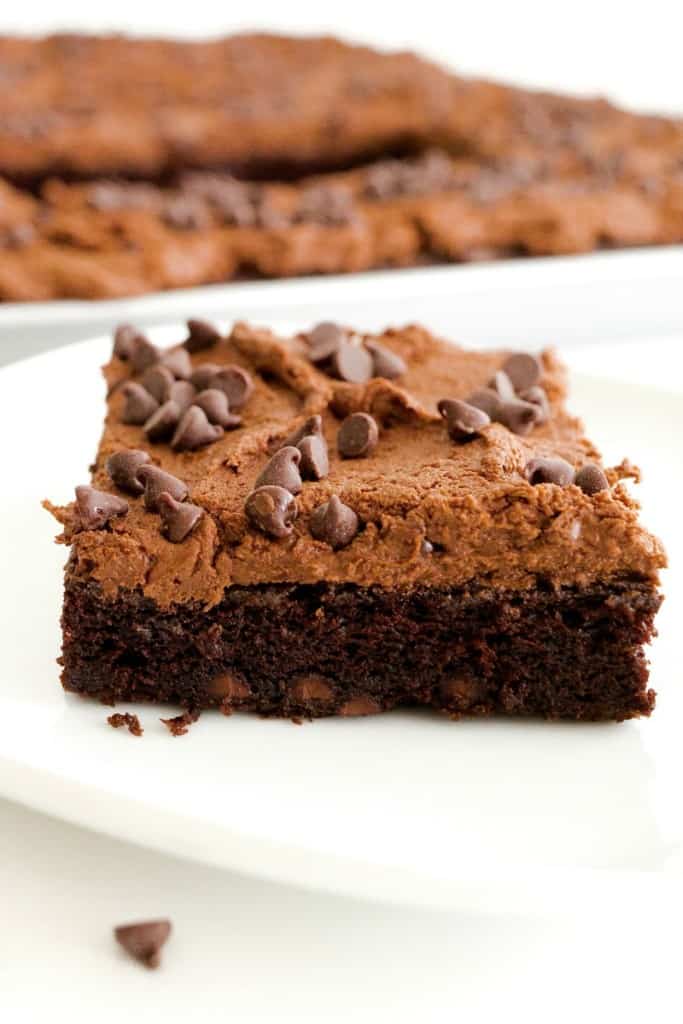 Chocolate Chocolate Chip Sheet Cake The BakerMama