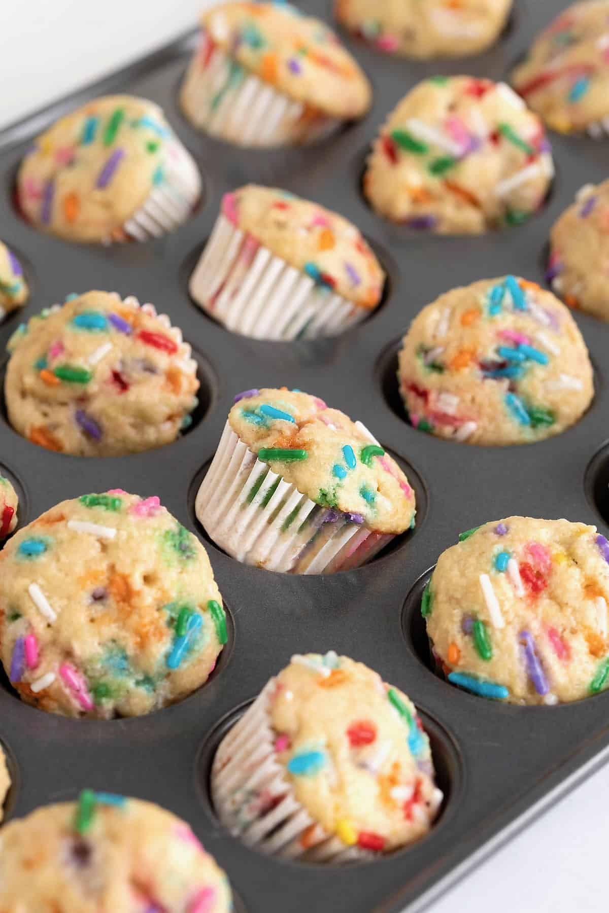 Mini muffins with confetti sprinkles in a dark aluminum mini muffin pan.