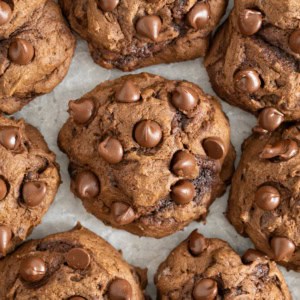 Eight triple chocolate pumpkin cookies studded with chocolate chips on top.