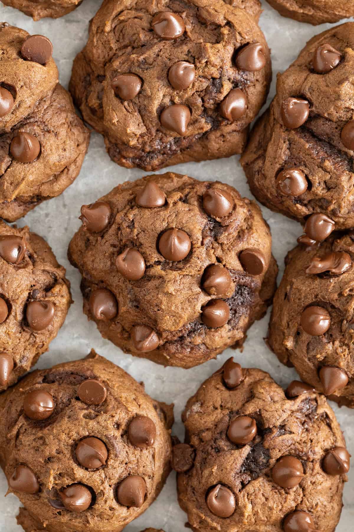 Eight triple chocolate pumpkin cookies studded with chocolate chips on top.