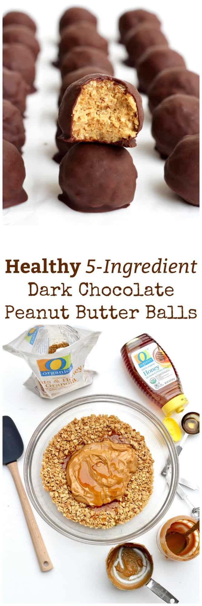 5-Ingredient Dark Chocolate Peanut Butter