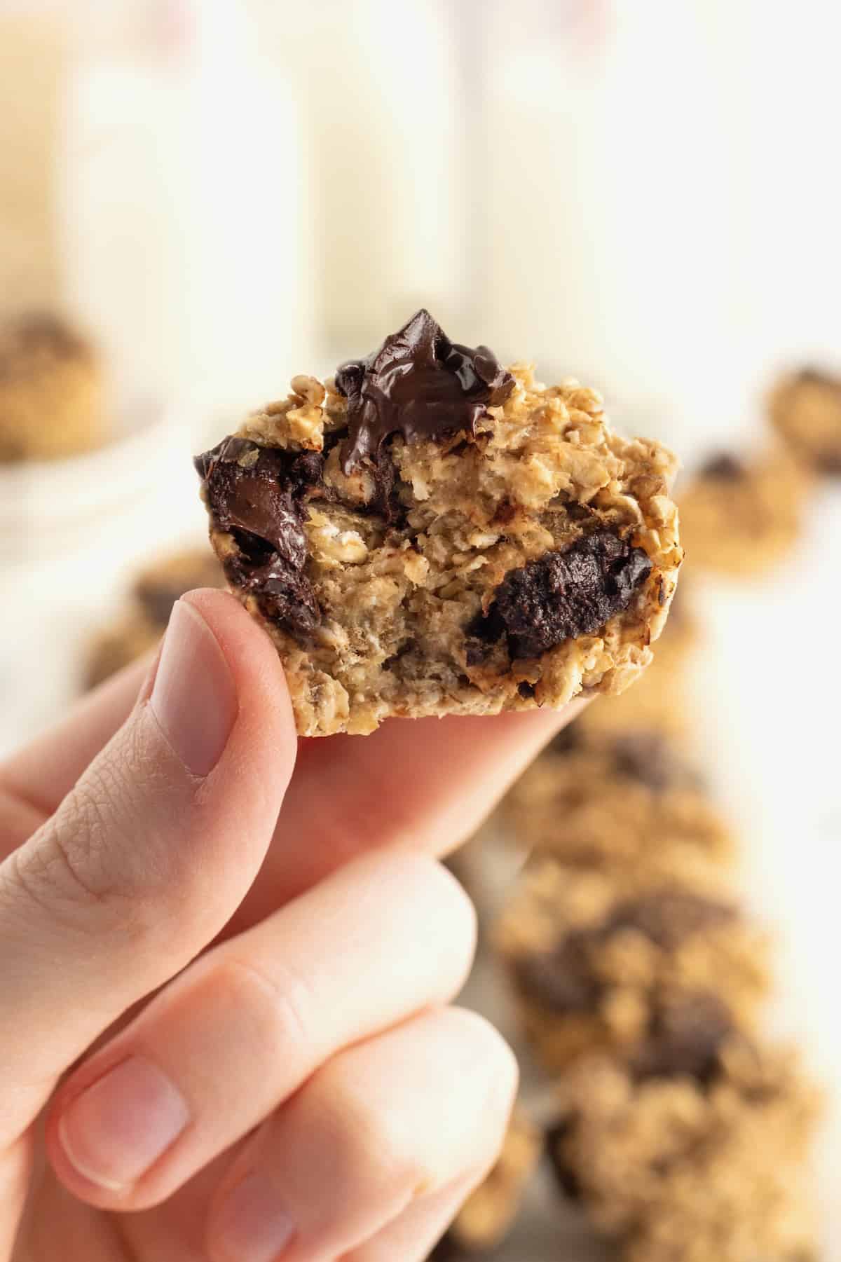 5-Ingredient Flourless Banana Chocolate Chunk Oatmeal Mini Muffins by The BakerMama