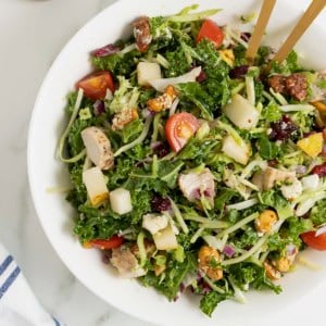 A large white bowl of green salad with cut up tomatoes, shredded cheese and chunks of chicken.
