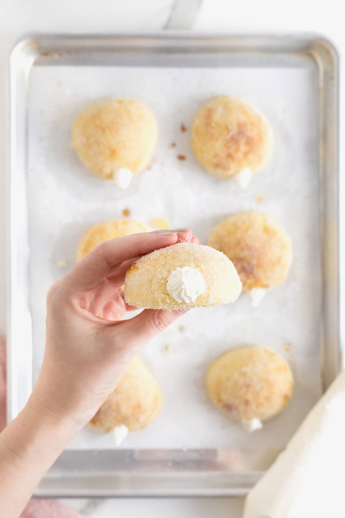 A hand holding a baked donut with cream filling inserted using a star shaped tip.