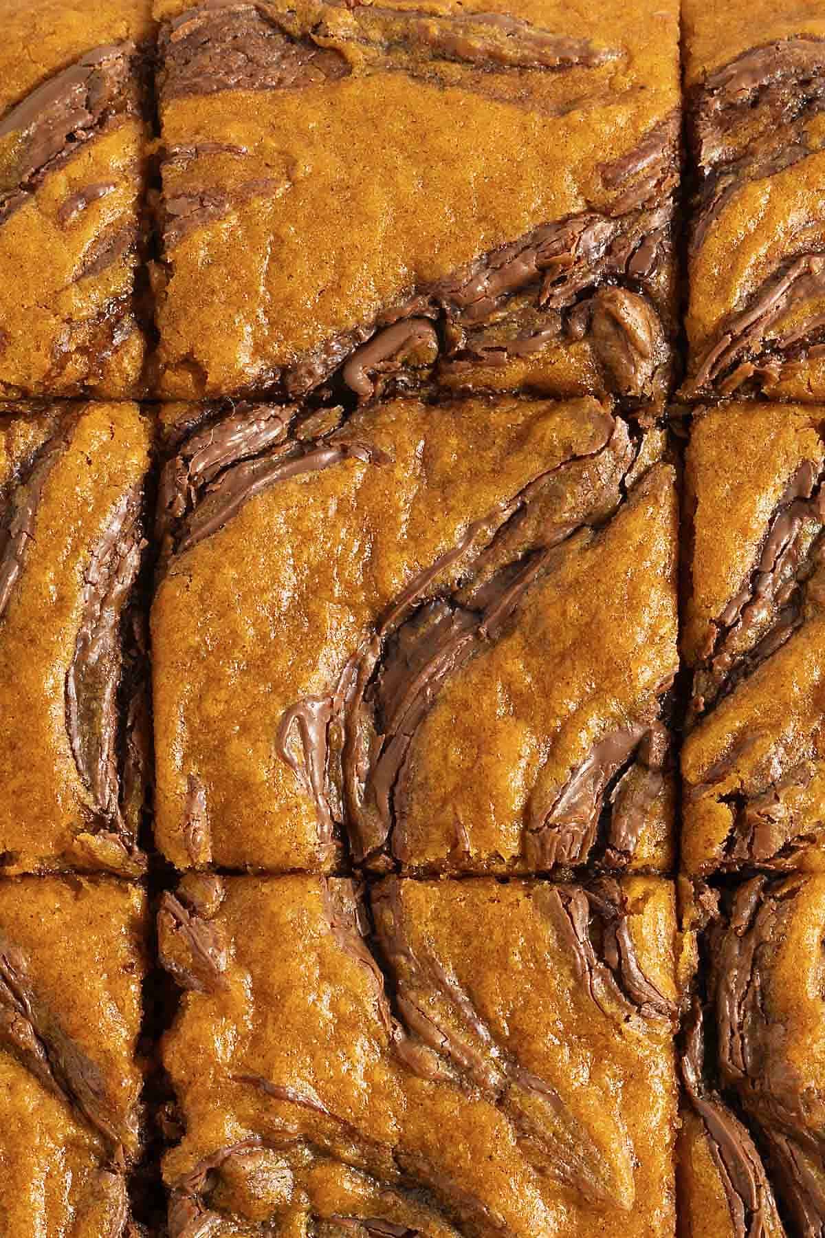 Nutella swirled pumpkin cake bars cut into squares.