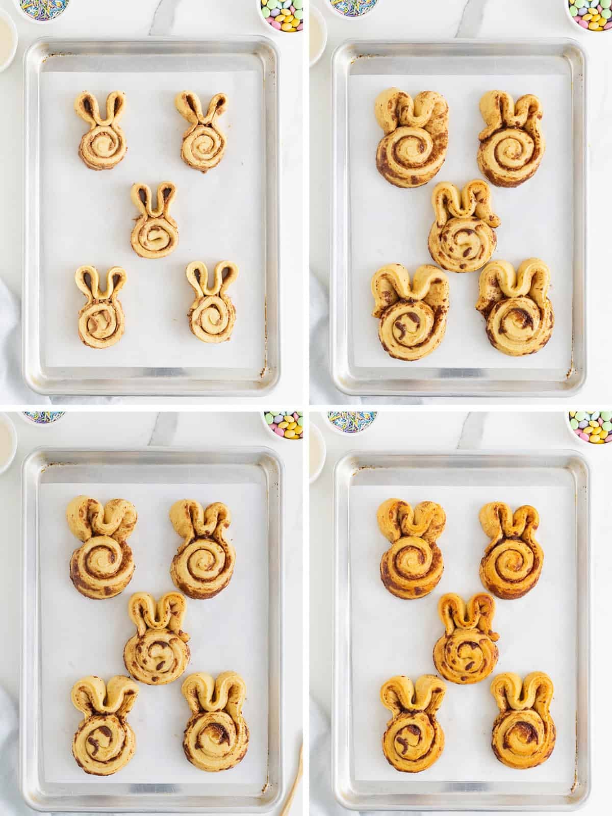 Steps to make easter bunny cinnamon rolls.
