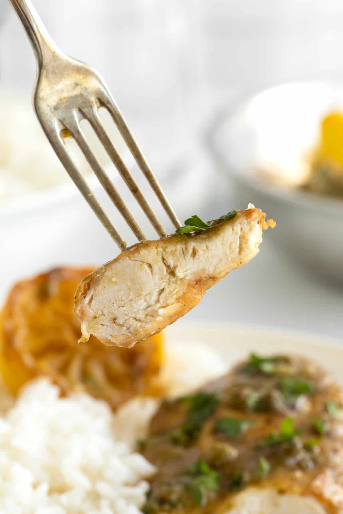 A bite of chicken breast with piccata sauce on a fork, served with white rice, half a lemon.