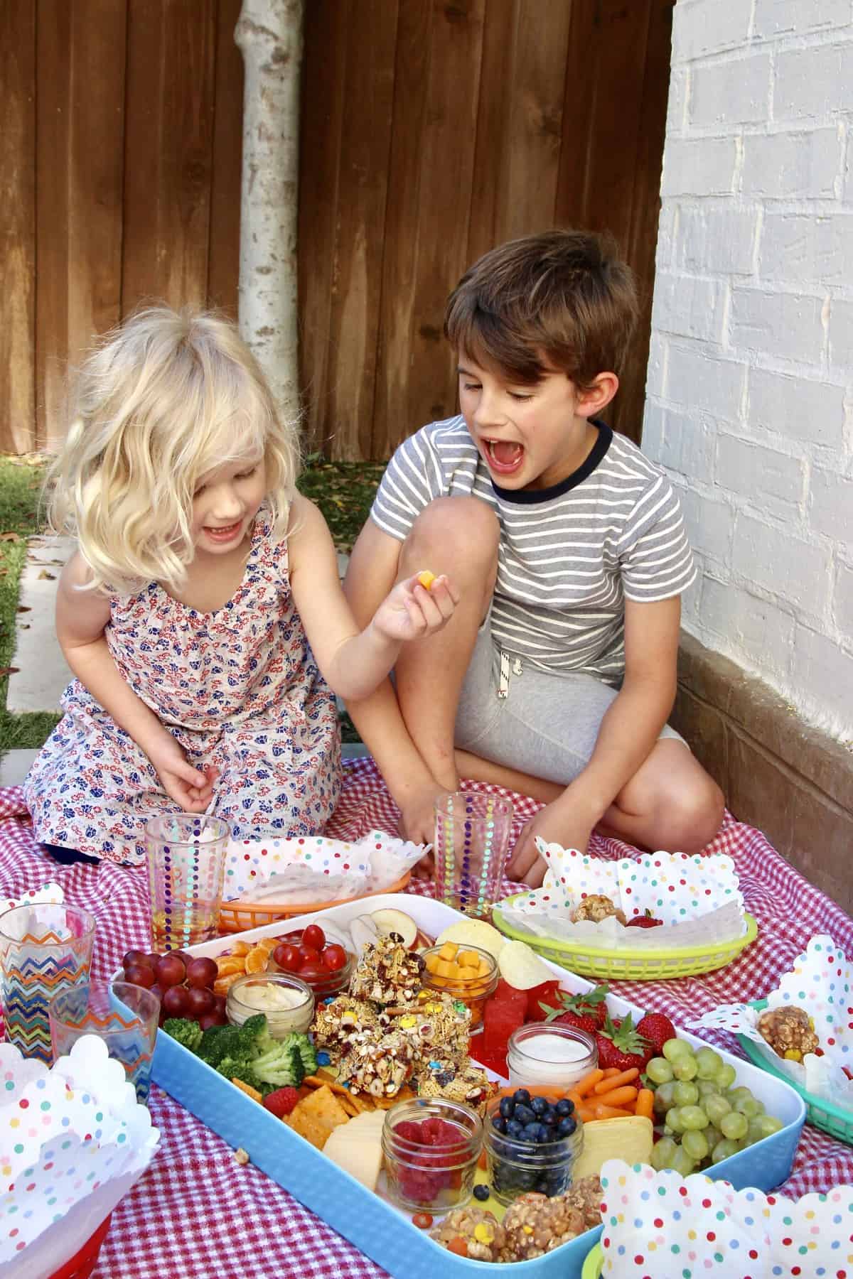 Summer Picnic Snack Tray by The BakerMama