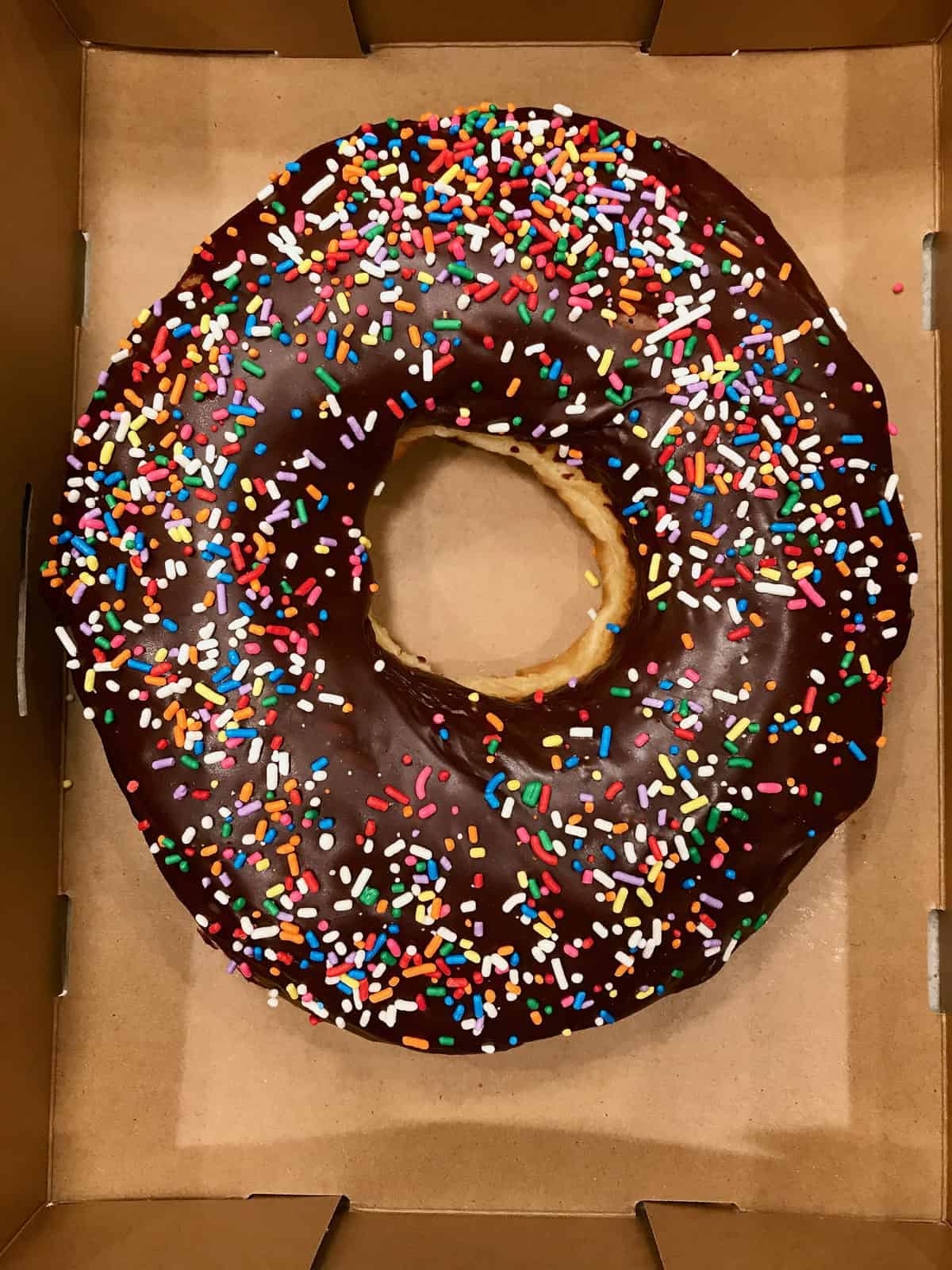 12" Donut Cake Base