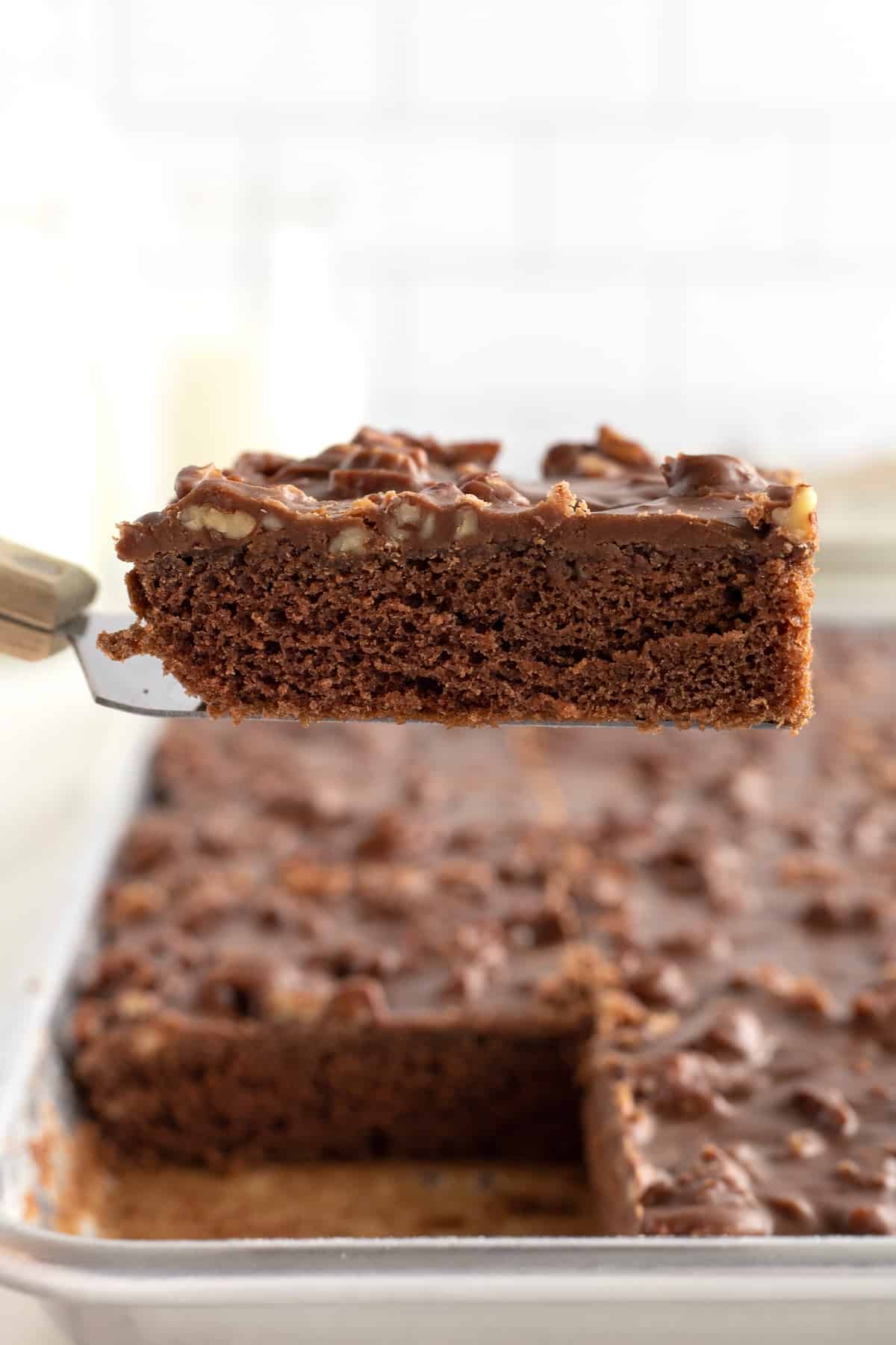 Chocolate Sheet Cake by The BakerMama