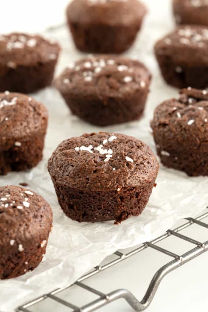 5Ingredient Flourless Fudge Brownie Bites The BakerMama