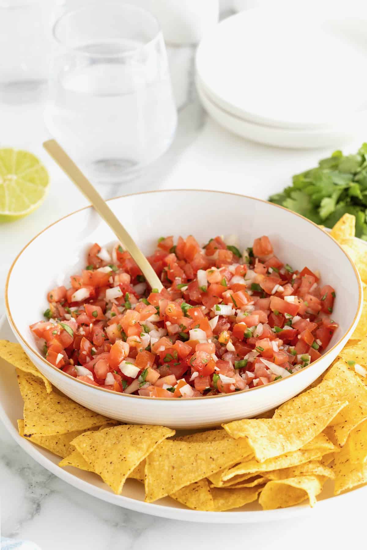 A large white serving bowl of pico de Gallo garnished with a sprig of cilantro. There are tortilla chips surrounding the serving bowl.