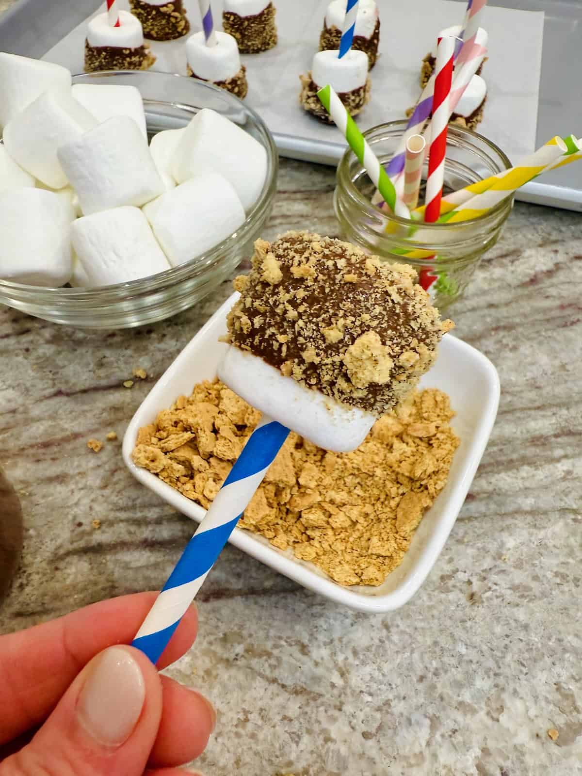 A S'mores Marshmallow Pop on a blue and white straw.