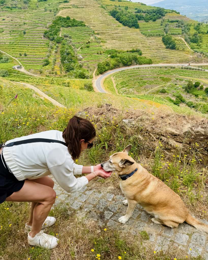 Maegan giving water to a dog in Douro Valley, Portugal.