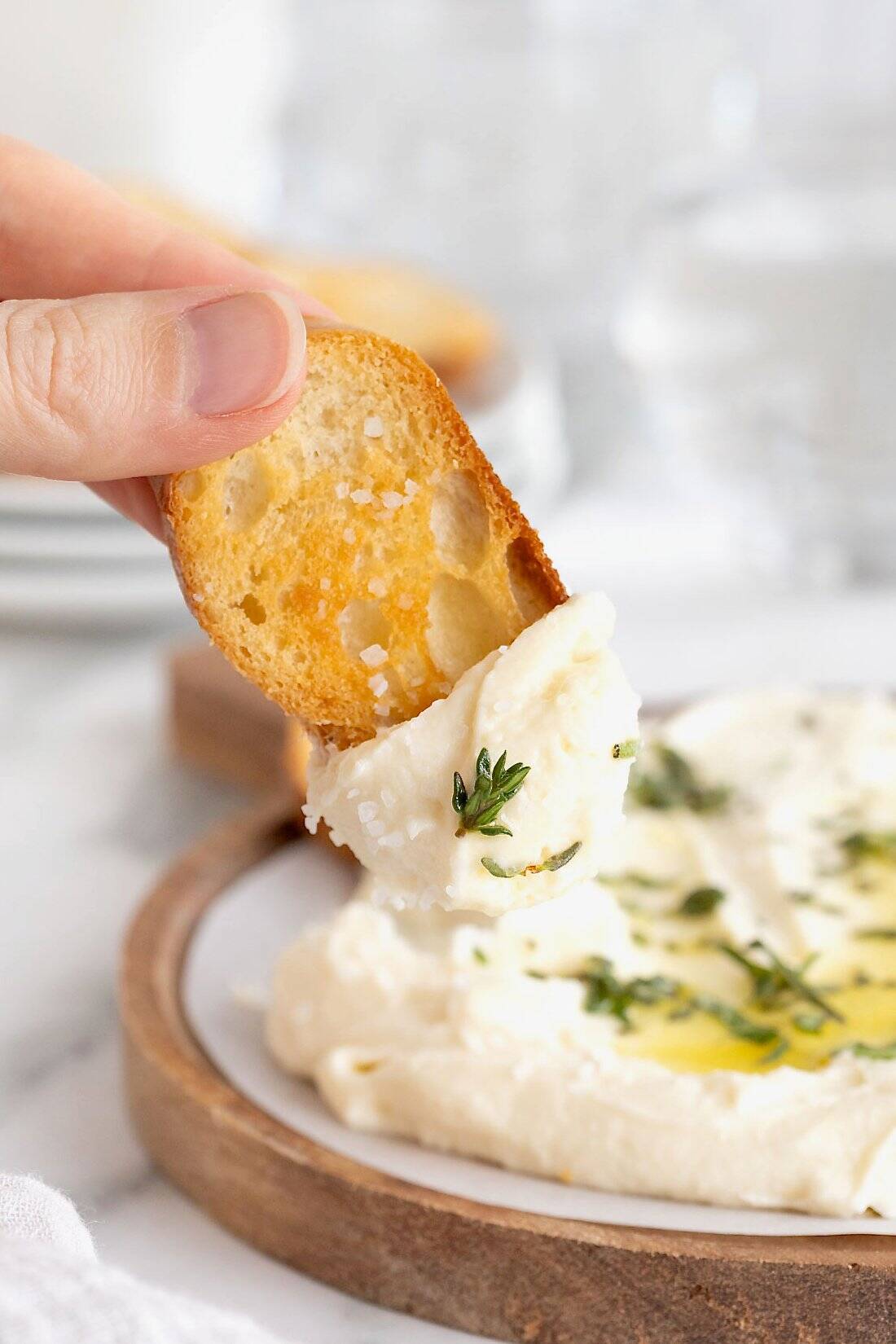 Crostini being dipped in  whipped brie dip drizzled with olive oil and sprinkled with fresh herbs.