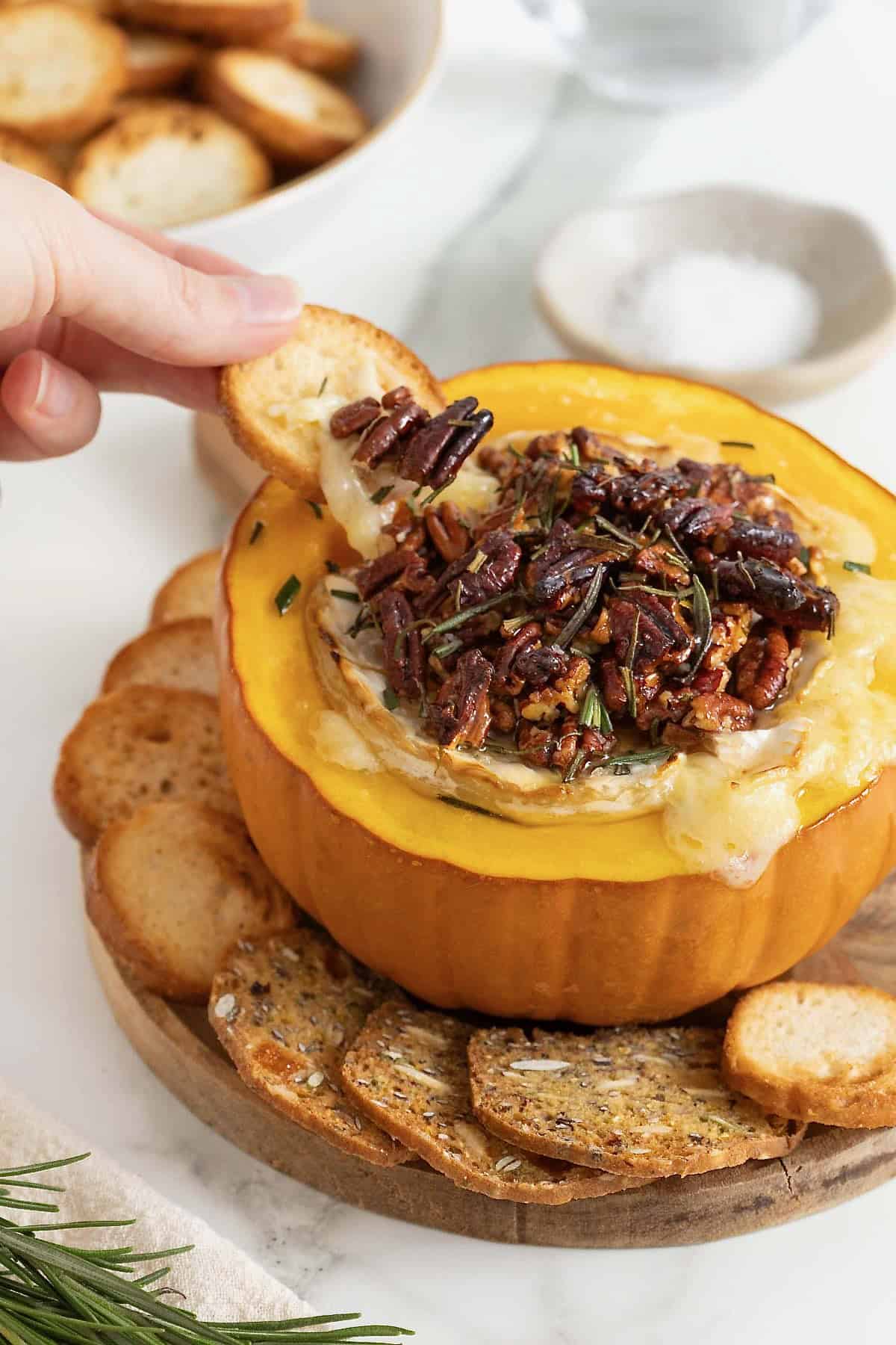 A cracker being dipped into brie baked into a mini pumpkin. The pumpkin is surrounded by crackers and crostini.
