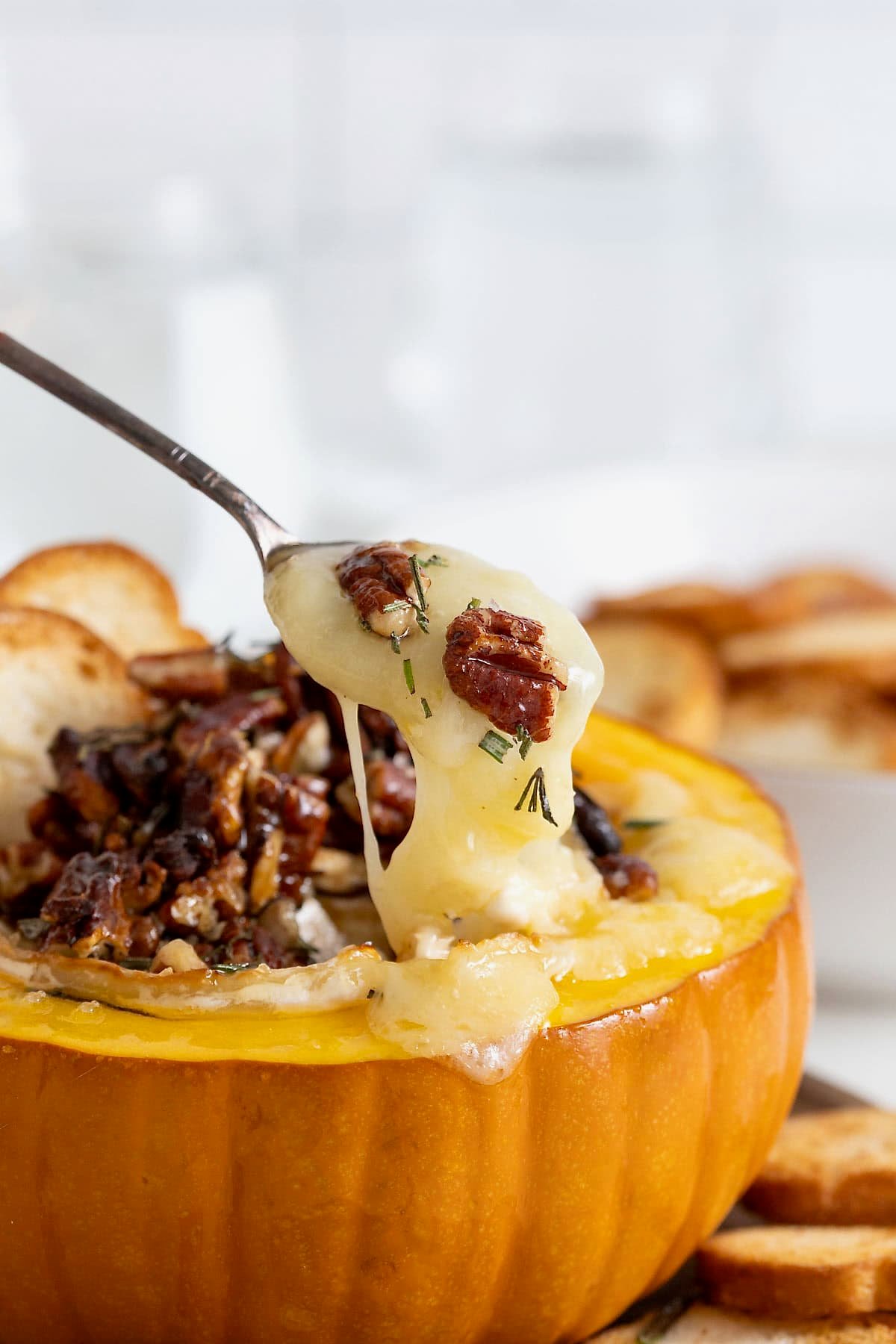Baked brie topped with pecans and rosemary being spooned out of a mini pumpkin bowl with a metal spoon.