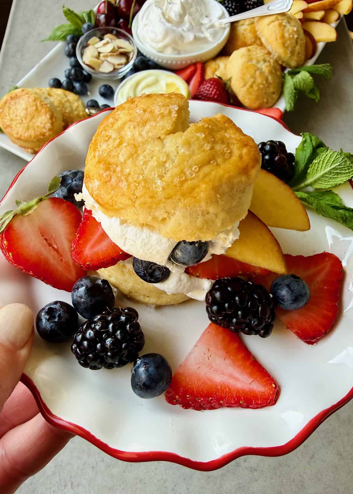 A hand holding a white fluted dessert plate with a red rim with a berry shortcake on it.