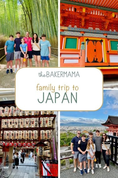 The Brown's family trip to Japan.