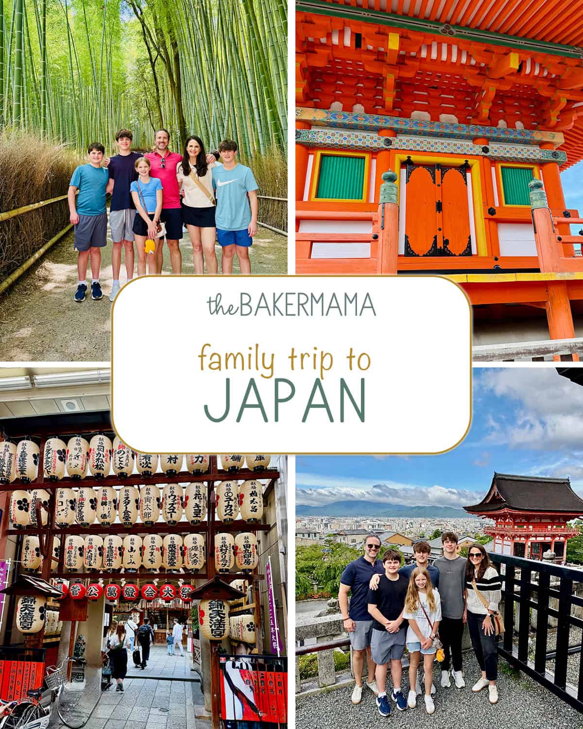 The Brown's family trip to Japan.