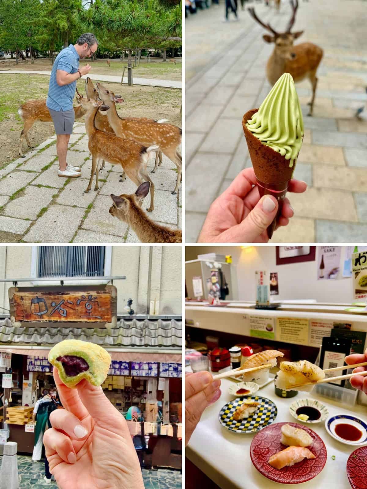Exploring and food in Nara.