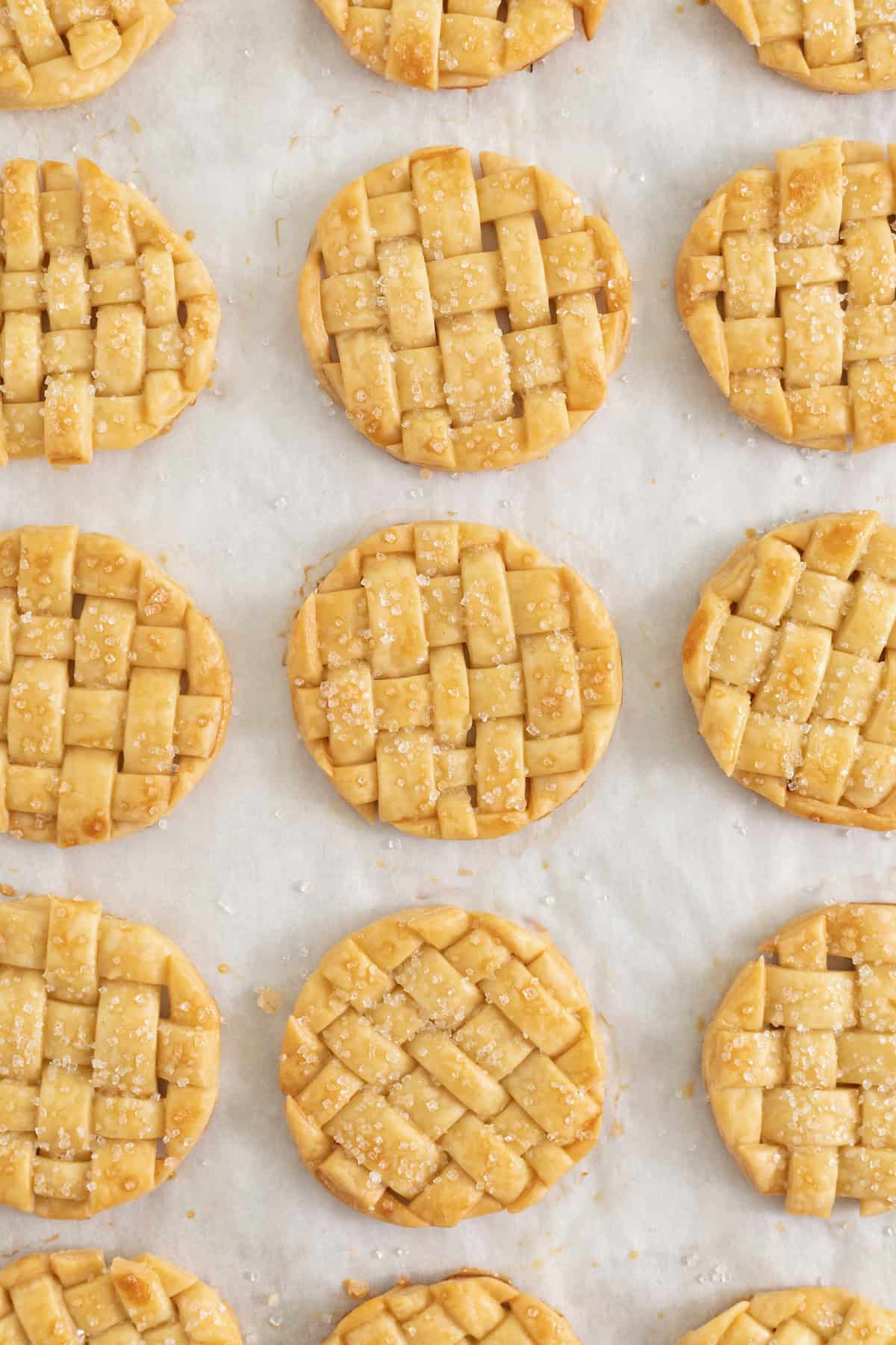 12 lattice pie cookies on parchment paper.